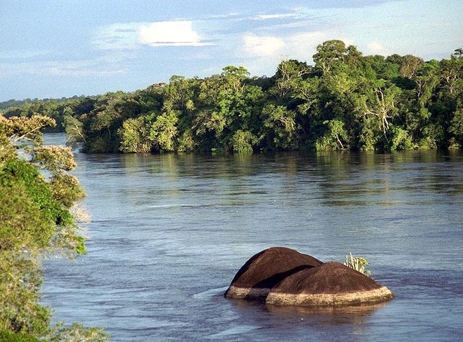 exemple de biotope (tat du Bolivar, Rio Caura - Venezuela)