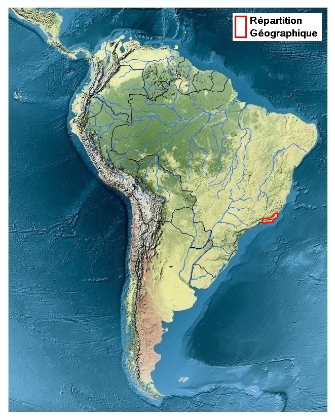 zone de rpartition de Parides ascanius