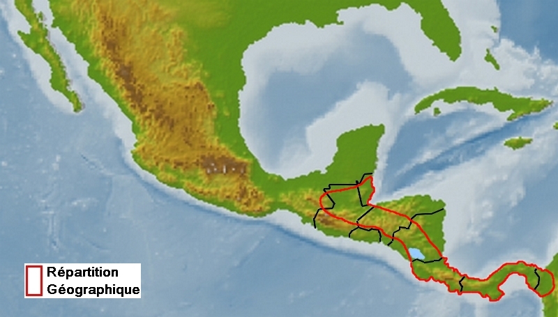 zone de répartition de Parides childrenae childrenae