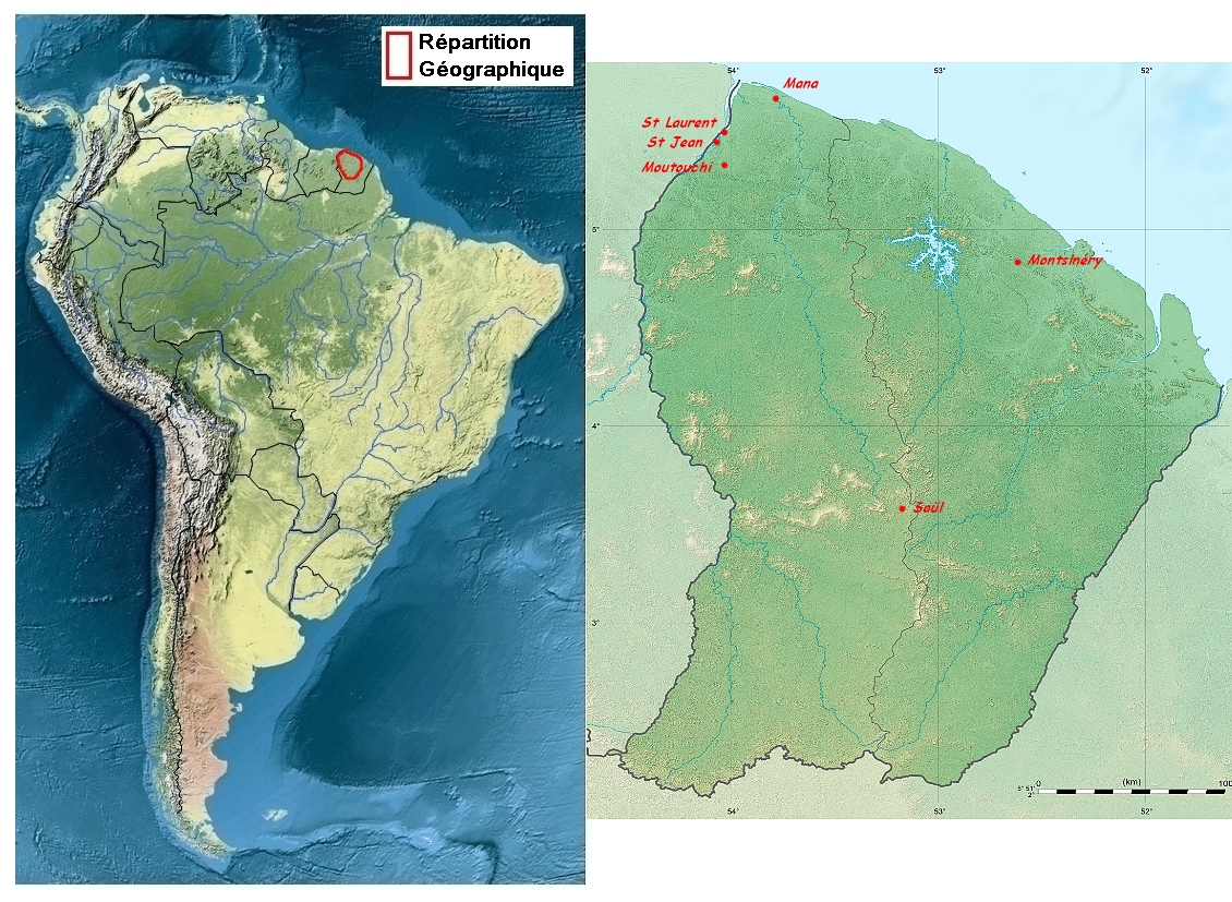 zone de repartition de Parides coelus