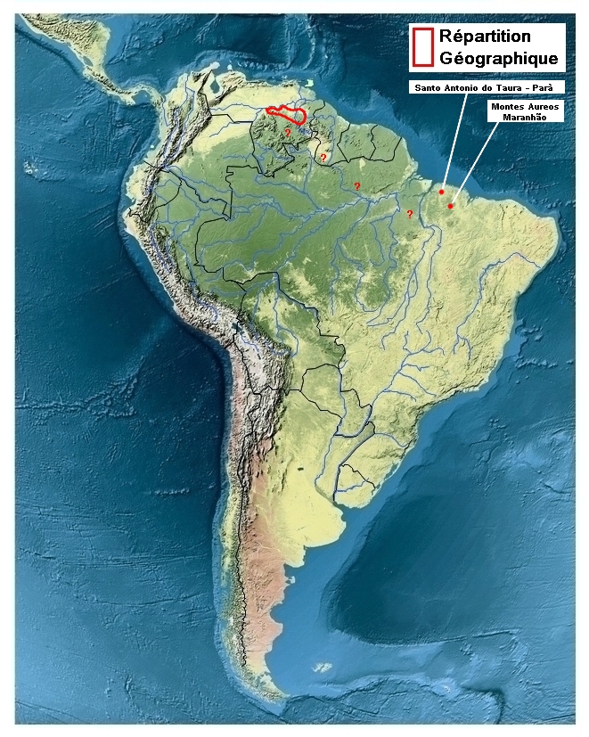 zone de repartition de Parides klagesi