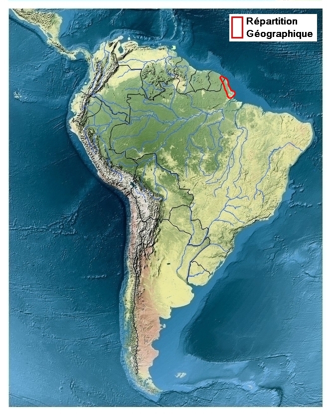 zone de répartition de Parides panthonus barbotini